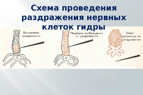 Darknet ссылки