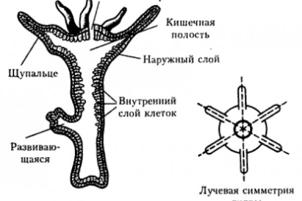 Кракен маркет что это